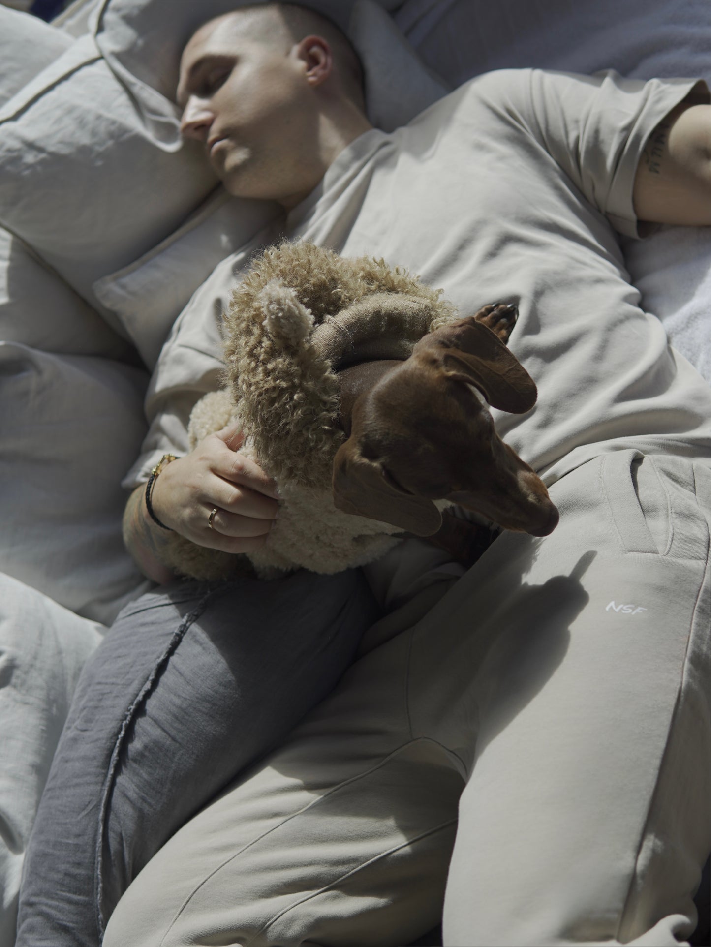 Teddy Form Everyday Sweats